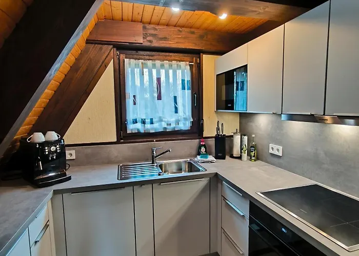 Gemuetliches Nurdachhaus Bodensee 別荘